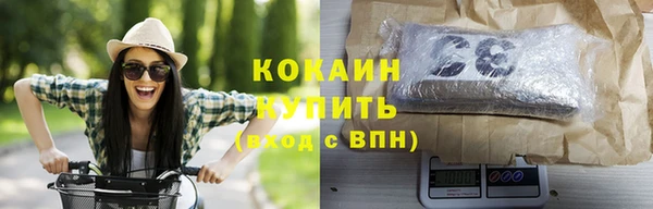 скорость Болотное