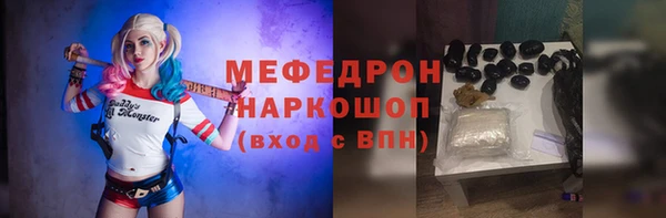 индика Володарск