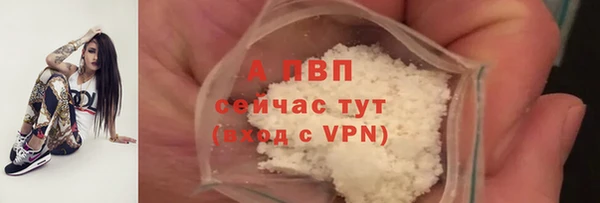 индика Володарск