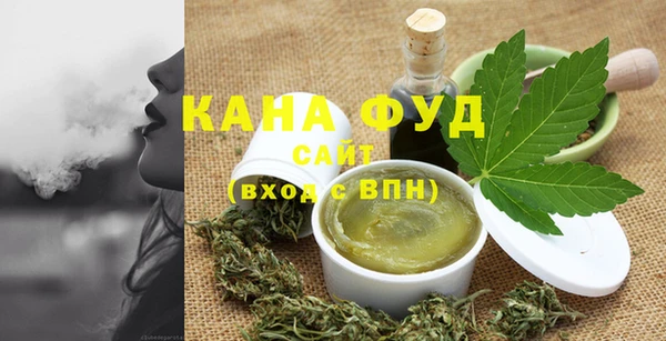 индика Володарск