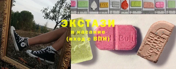 индика Володарск