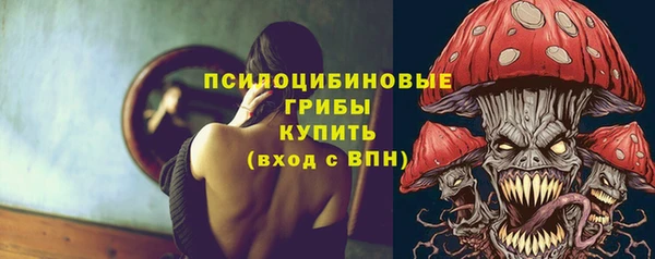 индика Володарск