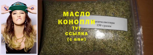 индика Володарск