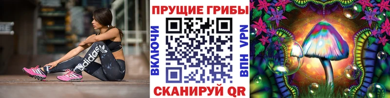 OMG онион  Истра  Галлюциногенные грибы Psilocybe 